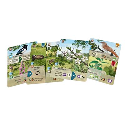 Forest Shuffle: Woodland Edge Expansion