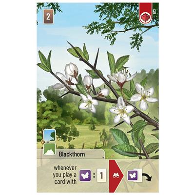 Forest Shuffle: Woodland Edge Expansion